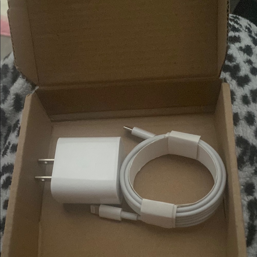 White USB Wall Charger and Cable